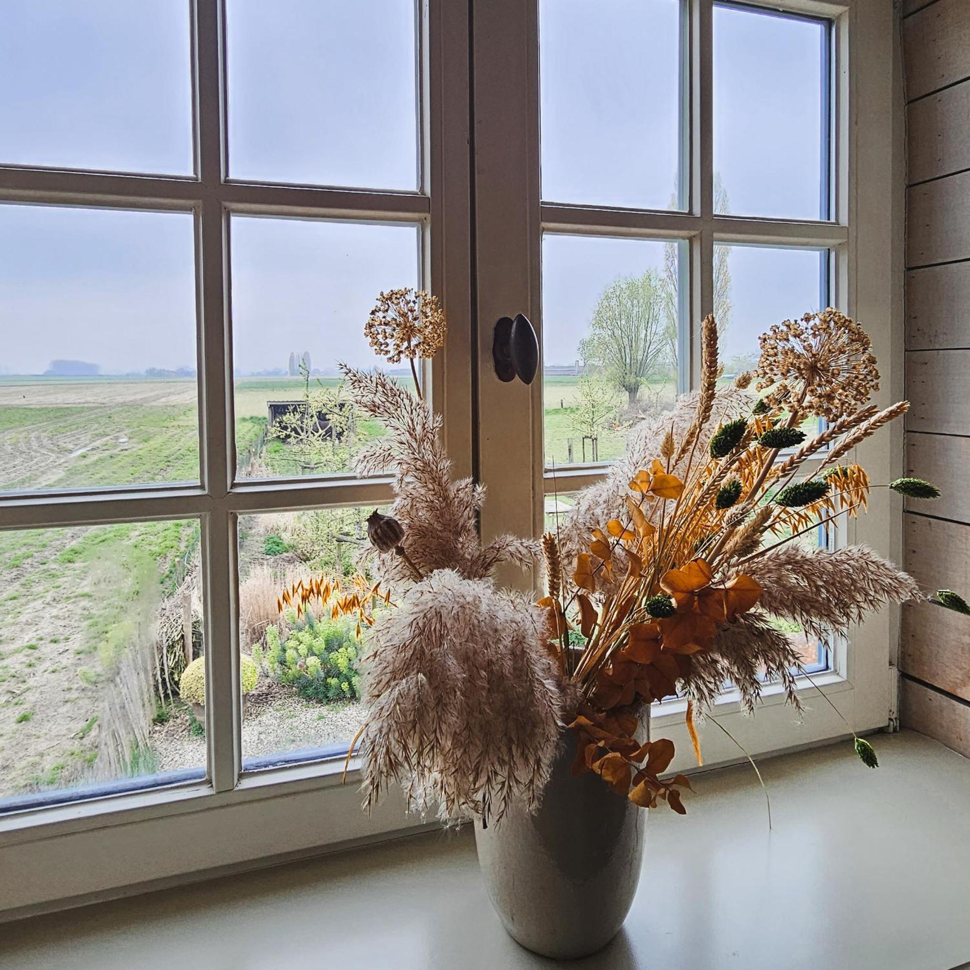 Boutique B&B Droomkerke Ruiselede Eksteriør billede